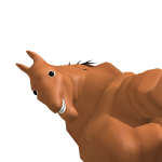neighhohme