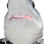 @RobloxHuskyAc