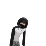 @DUDEU356