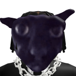 @stxll_jxck