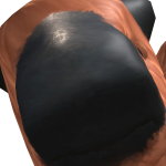 @cj_hndsm