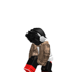4LC_BARRETT