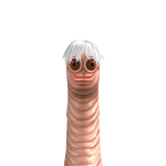 @drsxtt