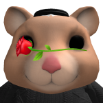 @ci5inee