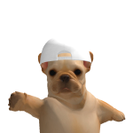 @buck3tbo1