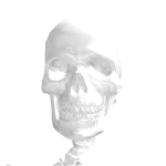 @ApplePhoneSE
