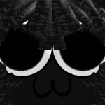 @Y0SHIED