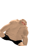 @xelsad
