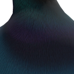 @v1rtu4l_pngg