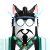 Pre_update