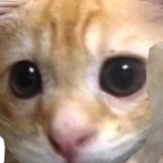 @RealPopsthebox