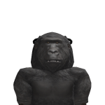 @JuniorH_Craft
