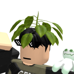 @cealicu_ca