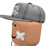 @Tahabloxboy13