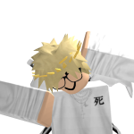 @lemonadeboy29