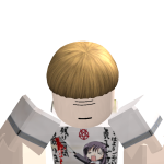 @Nooblox303