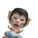 @haley75789