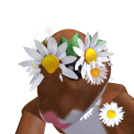 @roblox_user_4860858343