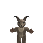 @prapraebosnewmers