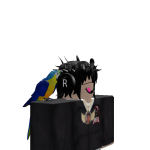 @yc2h