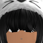 @Robloxian707375538