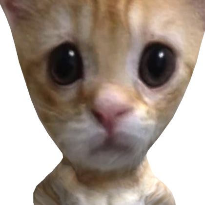 Roblox avatar