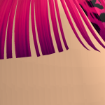 QuanxiLover778
