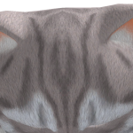 Souphead77