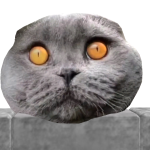 @HelordGT