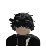 @invrsins