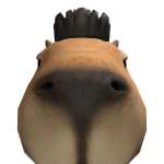 @Memeb0t2