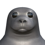@S1MPLYGL0WZZ