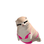 @watermelonloverrrrs