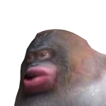 Lake_life2020's avatar