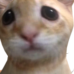 @YouFoundAntt