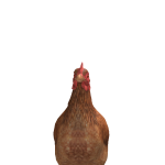 @CallOfArt