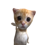 @Defnotleeo