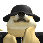 @DogFood_0709