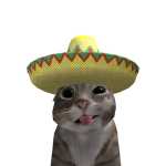 @ASHISW0RLD