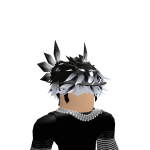 @Anonymous_BeastGamer