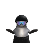 @maxflash2009