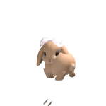 @lxck3t