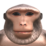 @jdogjjjj
