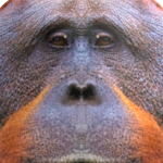 @yeetyu23