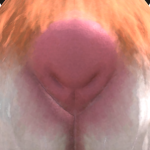 @thePownalYeti