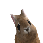 @bunitixa