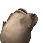 @sumimey