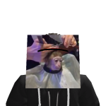 @Epicbreadb01