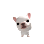@lexichu12