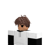 @sonicji2020